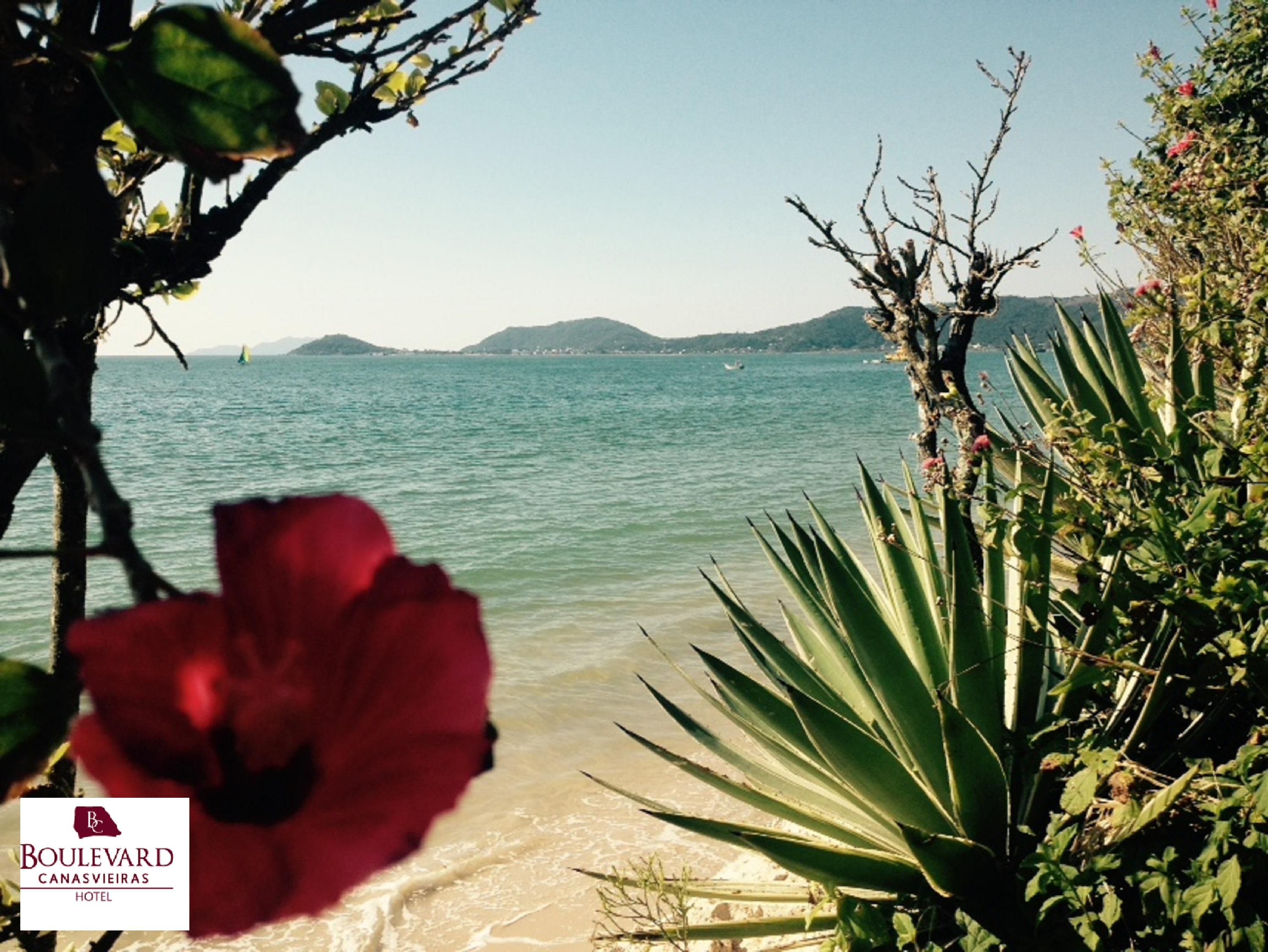 Boulevard Beach Canasvieiras Hotel Florianópolis Eksteriør bilde